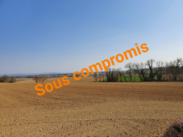 Offres de vente Terrain Eschentzwiller 68440